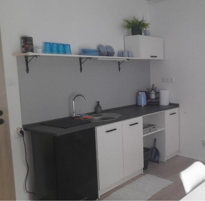 Apartman Centro Česká Lípa 外观 照片